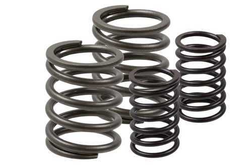 Kit molle valvole per bmw - molle,